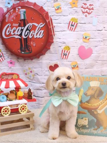 20230924ちゃいろくん